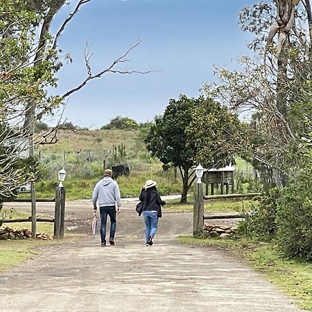 Zuurberg Mountain Village Addo Luaran gambar