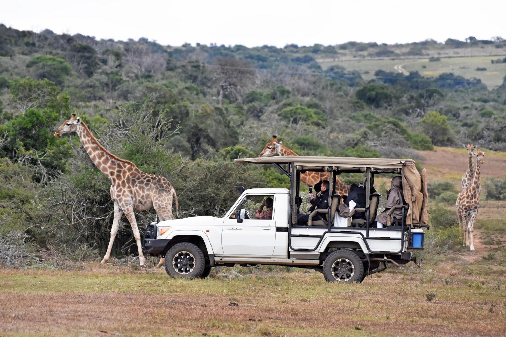 Zuurberg Mountain Village Addo Luaran gambar